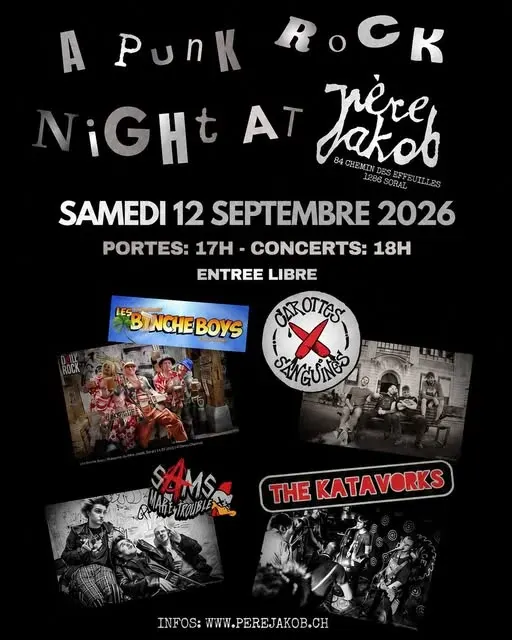 🎸 PUNK ROCK NIGHT – Samedi 12 septembre 2026